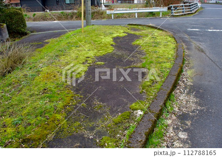 地方の苔に覆われた歩道 112788165