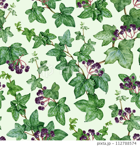 Ivy garden plant seamless pattern. Watercolor illustration. Hedera helix painted image. Botanical fresh ivy green stem with leaves, buds and berry elements. Hedera plant seamless pattern 112788574