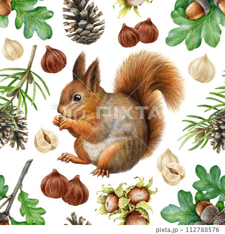 Cute squirrel with nuts, acorn and forest natural elements seamless pattern. Watercolor painted illustration. Red squirrel with hazelnut, cone, acorn elements seamless pattern. White background Cute squirrel with nuts, acorn and forest natural elements seamless pattern. Watercolor painted illustration. Red squirrel with hazelnut, cone, acorn elements seamless pattern. White background 112788576