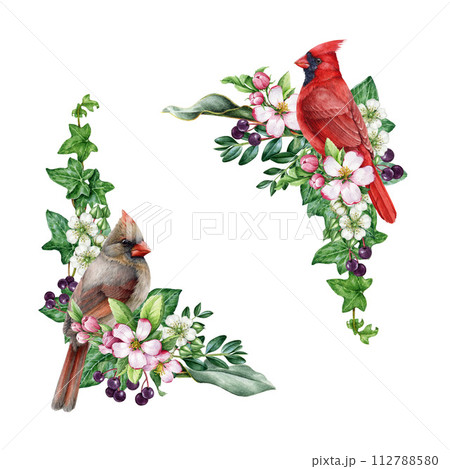 Vintage style spring time decor set with garden bird and flowers. Watercolor illustration. Hand drawn red cardinal bird, garden flowers, berries, ivy, leaves element. Spring season painted cozy decor Vintage style spring time decor set with garden bird and flowers. Watercolor illustration. Hand drawn red cardinal bird, garden flowers, berries, ivy, leaves element. Spring season painted cozy decor 112788580