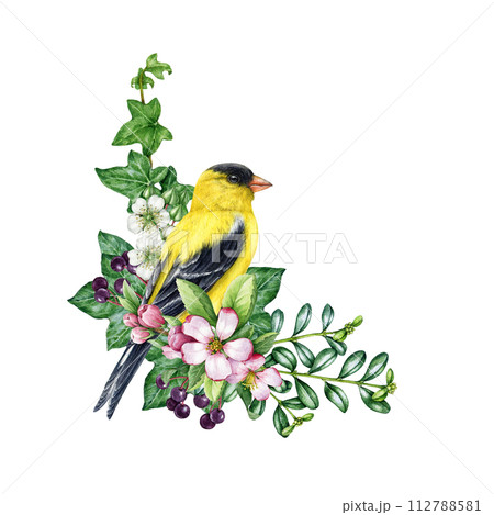 Spring cozy decor with bird and flowers. Vintage style watercolor illustration. Hand drawn goldfinch bird with garden flowers, elderberry, ivy leaves. Springtime decoration element. White background 112788581