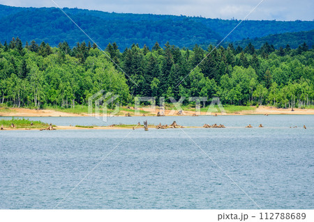 北海道　朱鞠内湖 112788689