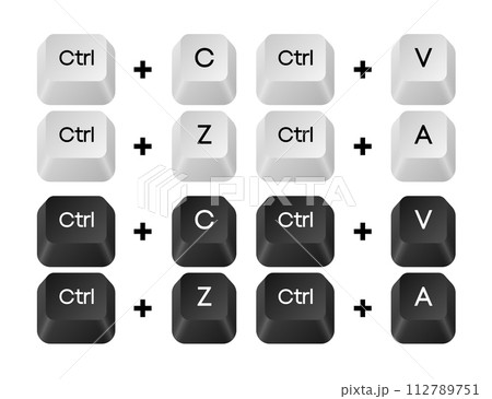 Computer key combinations. Set of key combinations. Command set icons. Computer keyboard button set. Vector Illustration. 112789751