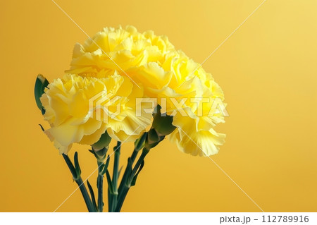 母の日のカーネーションの写真(記念日・ありがとう・プレゼント) 母の日のカーネーションの写真(記念日・ありがとう・プレゼント) 112789916