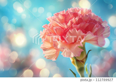 母の日のカーネーションの写真(記念日・ありがとう・プレゼント) 母の日のカーネーションの写真(記念日・ありがとう・プレゼント) 112789927