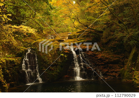 赤目四十八滝の紅葉(三重県名張市) 赤目四十八滝の紅葉(三重県名張市) 112790029