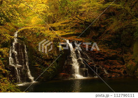 赤目四十八滝の紅葉（三重県名張市） 112790111