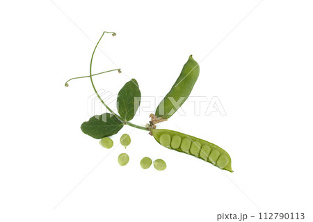 Open pea pods and green leaf isolated over white Open pea pods and green leaf isolated over white 112790113