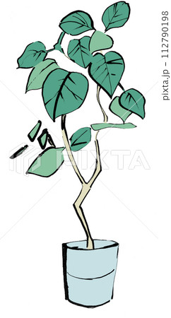 観葉植物の手描きイラスト 観葉植物の手描きイラスト 112790198