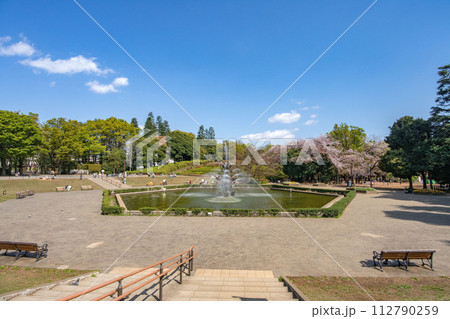 東京都世田谷区池尻、世田谷公園の噴水広場 東京都世田谷区池尻、世田谷公園の噴水広場 112790259