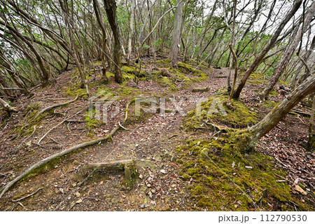 播磨「上月城」の曲輪と歴史資料館 播磨「上月城」の曲輪と歴史資料館 112790530