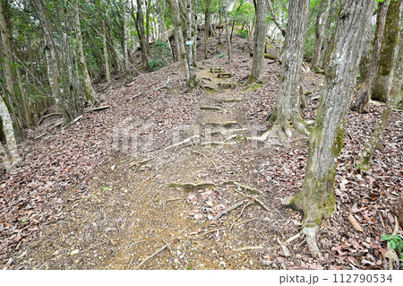 播磨「上月城」の曲輪と歴史資料館 播磨「上月城」の曲輪と歴史資料館 112790534