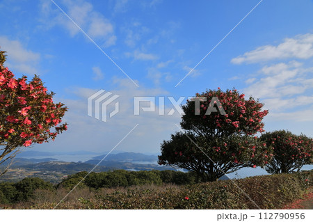 長島行人岳の椿の間から望む天草の島々の景色 長島行人岳の椿の間から望む天草の島々の景色 112790956