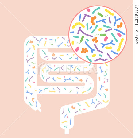 腸内細菌による腸内フローラやプロバイオティクスのデザイン図 112791537