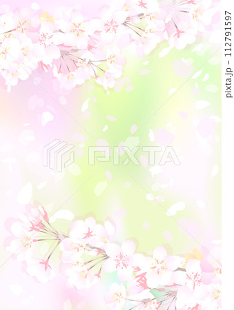 桜と新緑 112791597