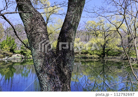 愛知県名古屋市の平和公園風景 愛知県名古屋市の平和公園風景 112792697