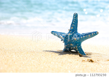 Starfish and Wave water sea blue amazing on islands in the world 112793230