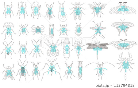 標本風アウトライン昆虫アイコンセット　水色 112794818