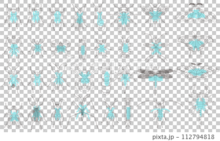 標本風アウトライン昆虫アイコンセット　水色 112794818