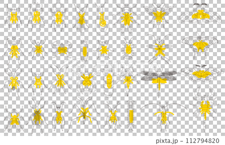 植物標本館風格輪廓昆蟲圖示集 植物標本館風格輪廓昆蟲圖示集 112794820