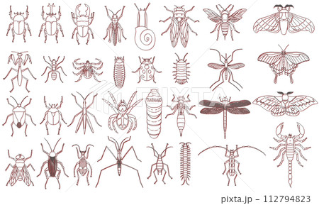 標本風カラーシャドウ昆虫アイコンセット　赤 112794823