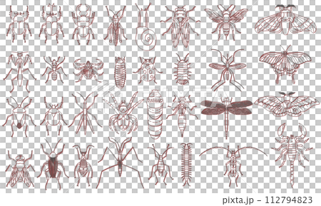 標本風カラーシャドウ昆虫アイコンセット　赤 112794823