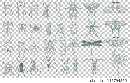 Specimen style color shadow insect icon set light blue Specimen style color shadow insect icon set light blue 112794826