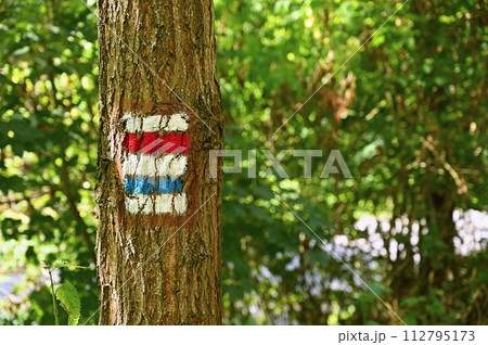 Tourist sign on a tree. Unique color marking of tourist routes in the Czech Republic. 112795173