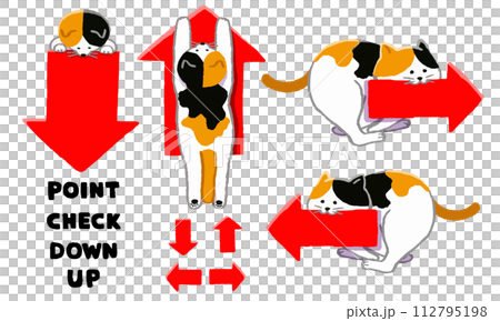 Cat illustration set with up, down, left and right arrows in its mouth 112795198