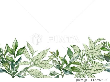 Branch with leaves of green tea. Branch with leaves of green tea. 112797526