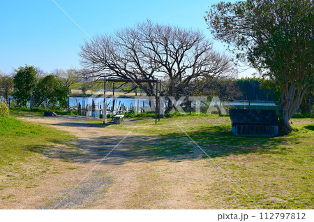 江戸川河川敷　矢切の渡し　葛飾柴又　 112797812