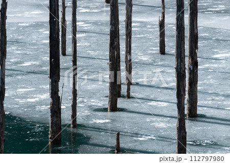 凍りつく池と立ち枯れの木　自然湖 112797980