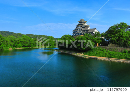 【岡山県】晴天の岡山城と旭川（令和の大改修後） 112797990