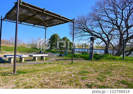 矢切の渡し　江戸川河川敷　葛飾柴又 112798014