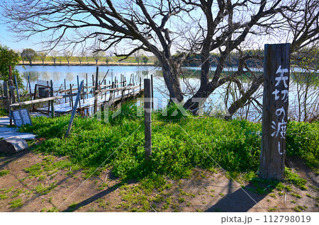 矢切の渡し 江戸川河川敷 葛飾柴又 矢切の渡し 江戸川河川敷 葛飾柴又 112798019