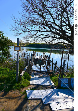 矢切の渡し　江戸川河川敷　葛飾柴又 112798020