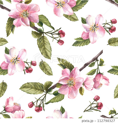 Branch of apple or other spring blossom tree seamless pattern, flowers and buds. Springtime blooming plant. Hand drawn botanical clipart for fabric, wrapping wallpaper print. Isolated white background Branch of apple or other spring blossom tree seamless pattern, flowers and buds. Springtime blooming plant. Hand drawn botanical clipart for fabric, wrapping wallpaper print. Isolated white background 112798327