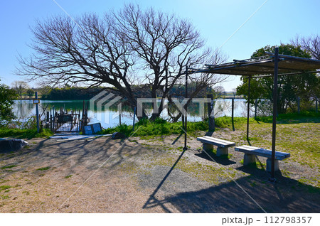 矢切の渡し 柴又公園 江戸川河川敷 葛飾柴又 矢切の渡し 柴又公園 江戸川河川敷 葛飾柴又 112798357