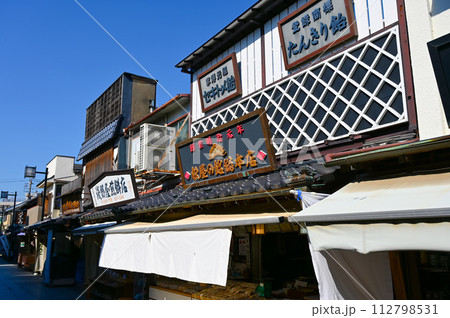 帝釈天参道　昔懐かしい商店街　葛飾柴又　葛飾柴又の文化的景観 112798531