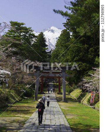 桜咲く参道から岩木山を望む(縦) 桜咲く参道から岩木山を望む(縦) 112798905