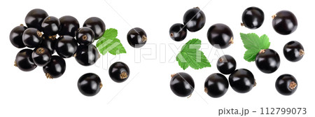 black currant with leaves isolated on white background . Top view. Flat lay pattern black currant with leaves isolated on white background . Top view. Flat lay pattern 112799073