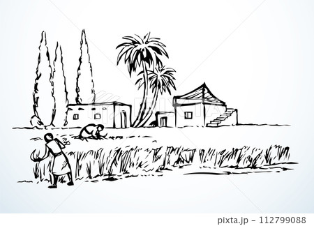 Vector drawing. Reapers in the field 112799088