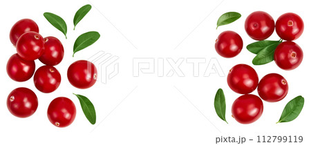 Cranberry with leaves isolated on white background with full depth of field. Top view with copy space for your text. Flat lay 112799119