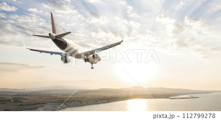 Passenger airplane landing on the island 112799278