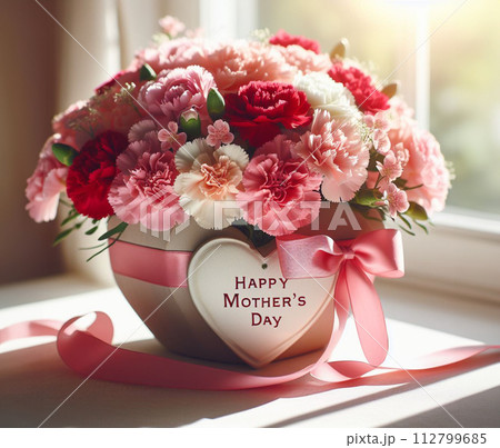 カーネーションのプレゼント 112799685
