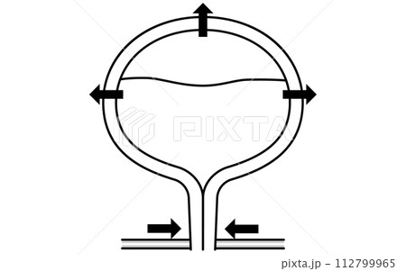 正常な膀胱の医療イラスト、排尿の仕組み、尿をためる 112799965