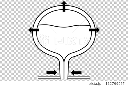 正常な膀胱の医療イラスト、排尿の仕組み、尿をためる 112799965