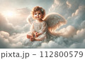 赤ちゃん天使 112800579