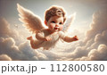 赤ちゃん天使 112800580