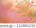 紅葉 112801210